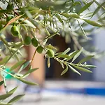 빌라 Old Olive Iii By Interhome 보드냔